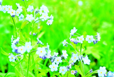 Autors: Līga Patmalniece