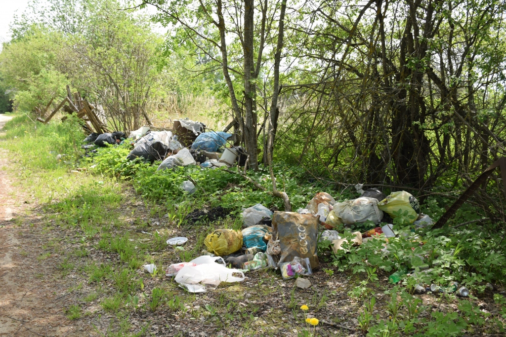 No visa kā pa druskai. Aizkrauklē, Samēnu ielā, vairākās vietās ir atkritumu kaudzes. Mazdārziņu īpašnieki gadu gaitā lieko sametuši ceļmalā.
Autors: Imants Kaziļuns