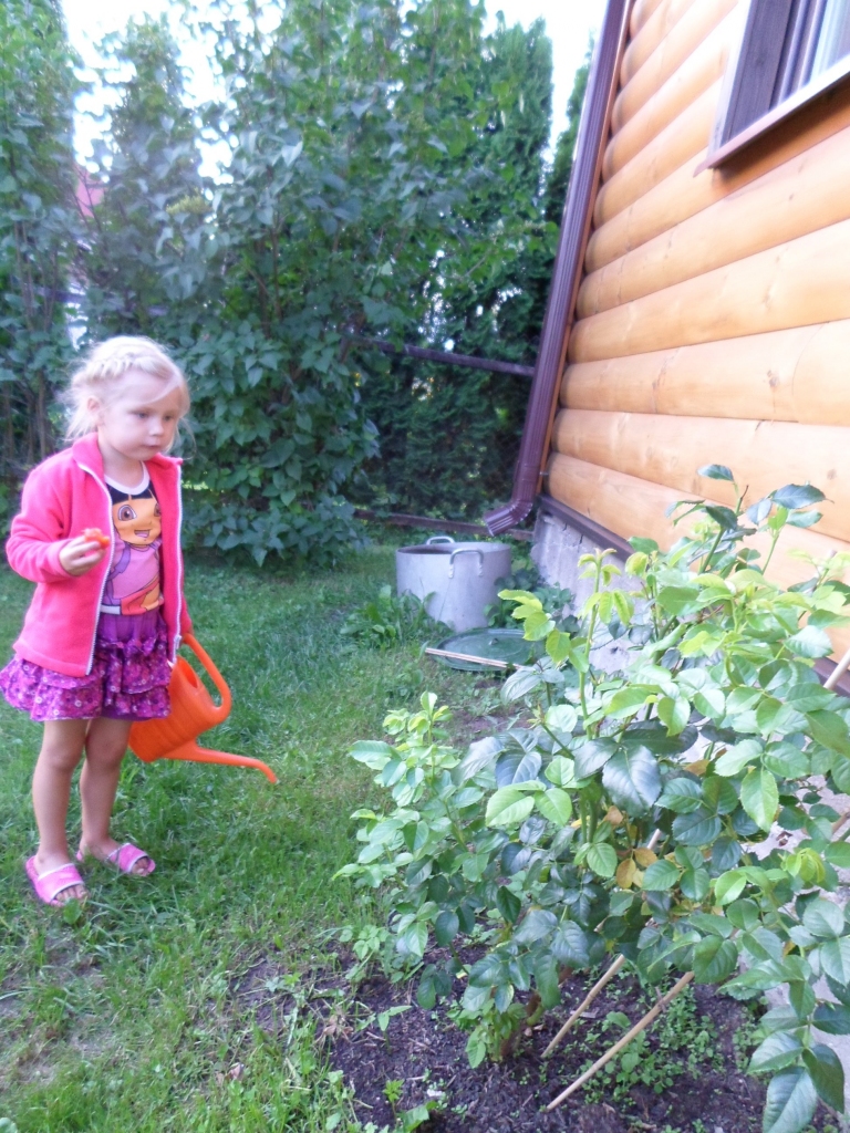 Autors: Ināra Sudare