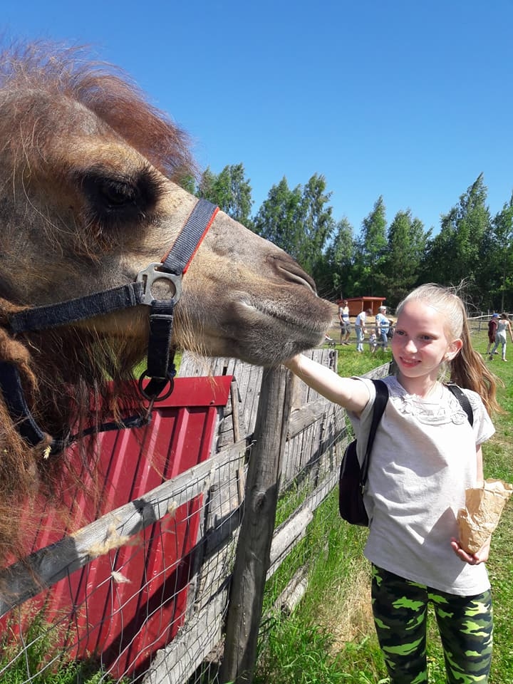 Atraktīvais kamielis minizoo “Dobuļi”.
Autors: J. Svirskas foto