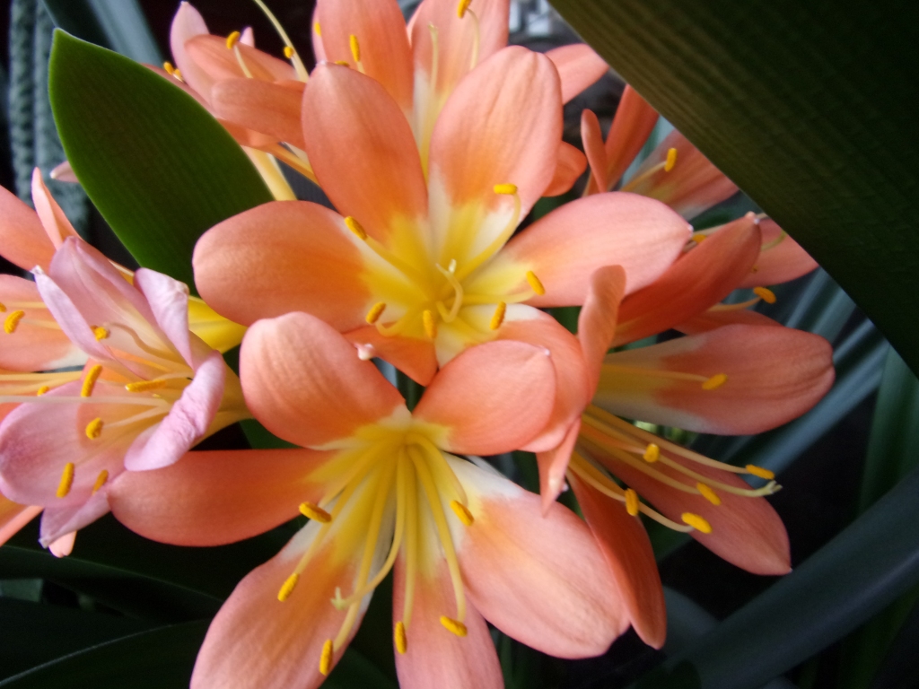 Autors: Inārs Dreijers