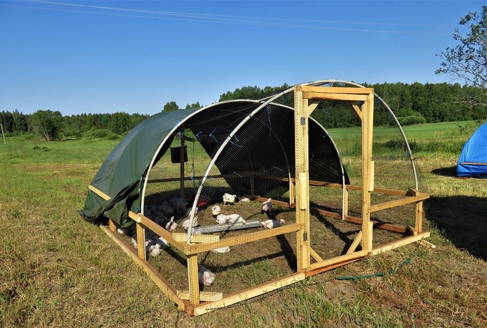 Broileru “apartamenti”. Pārvietojamā mājiņa. 	Foto no Daces albuma
