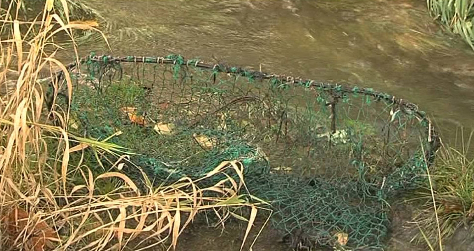 Attēlam ilustratīva nozīme.