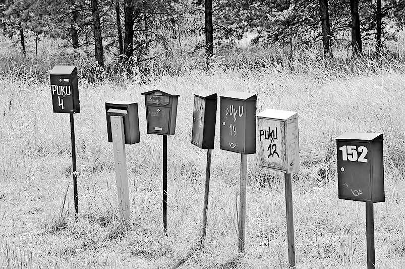 Autors: Daiņa Ģelža foto