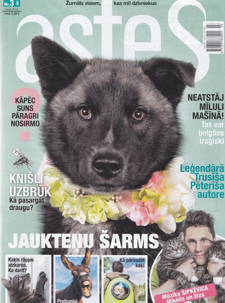 Aluksniesiem.lv raksta attēla aizvietotājs