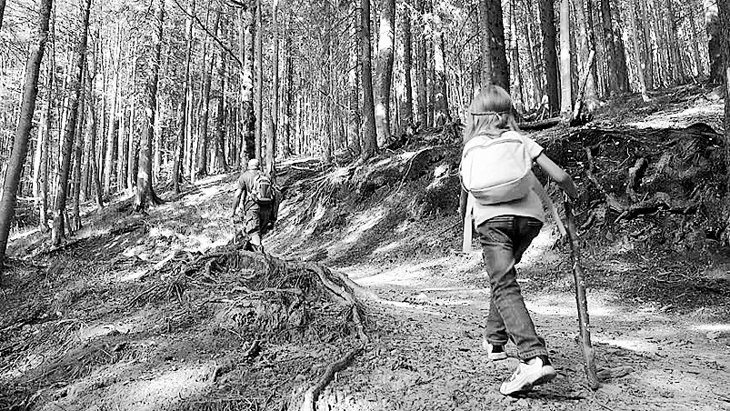 Autors: no shutterstock.com