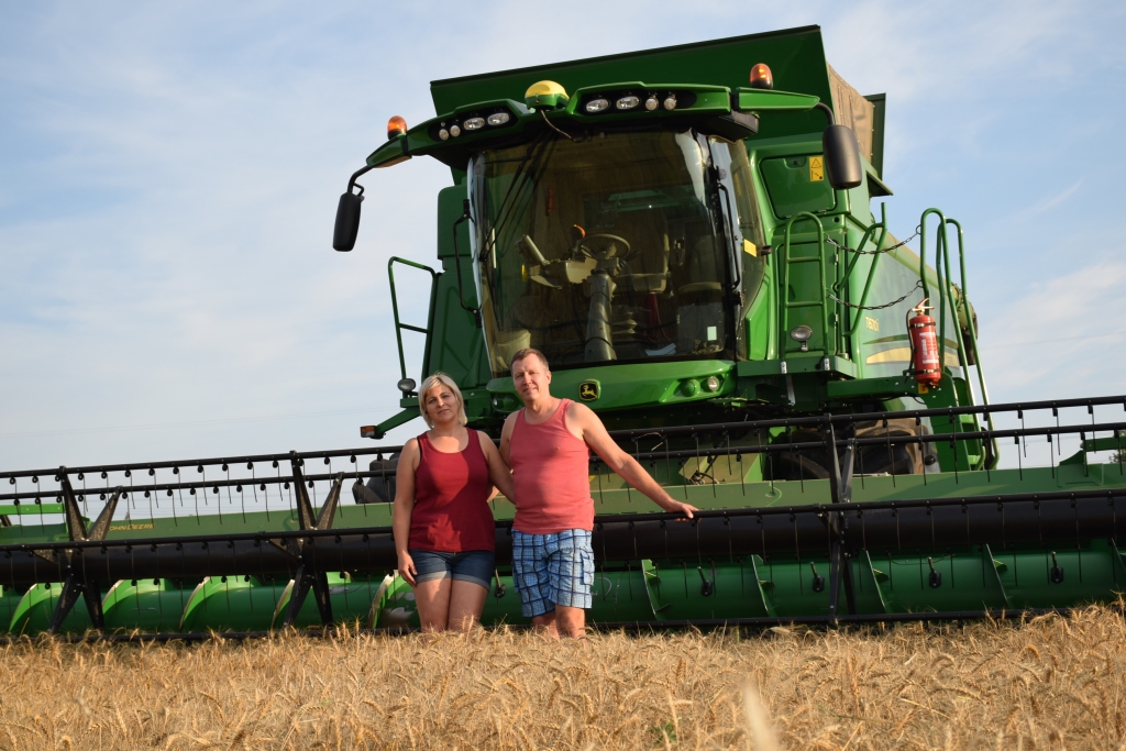 PĻAUJA SĀKUSIES arī SIA “Velmaraiši” laukos Staburaga pagastā. Kombainu stūrē pats saimnieks Aigars Dobulāns, bet ražu kaltē ar traktoru palīdz nogādāt viņa dzīvesbiedre Andra.