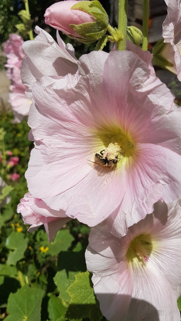 Autors: Līga Patmalniece