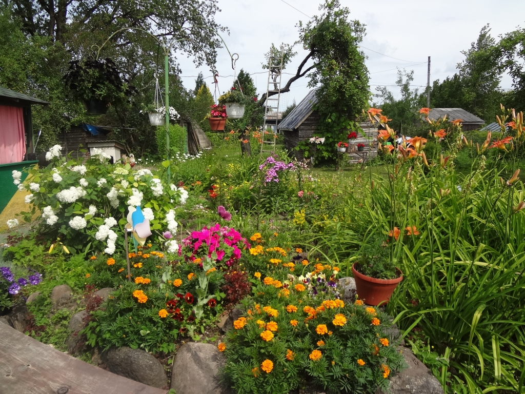 Karstums bezspēcīgs pret krāšņo puķudobi.