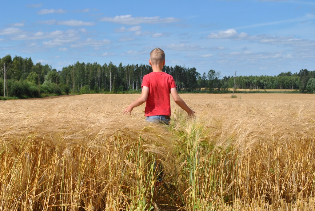 SAUSUMA DĒĻ šogad zemniekiem būs pasmags gads — spriež aptaujātie lauksaimnieki.
Autors: no “Staburaga” arhīva