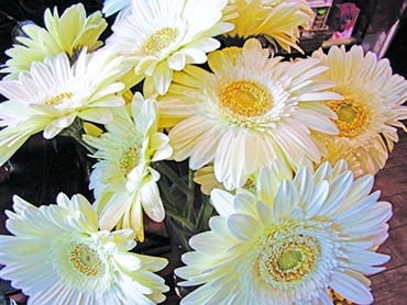 Autors: Inārs Dreijers