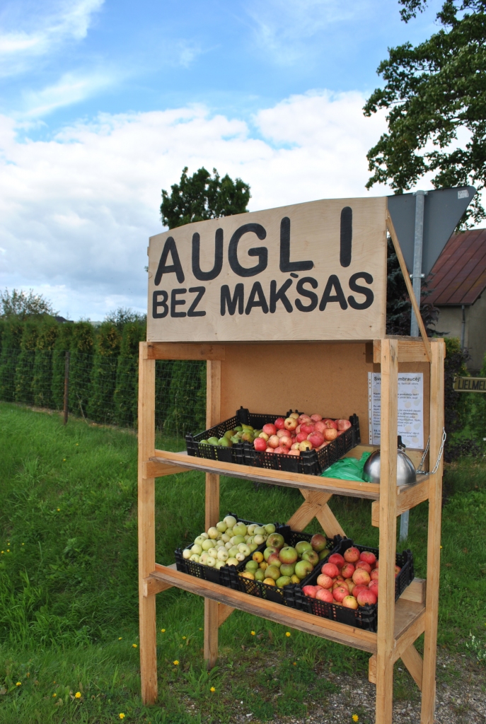 Augļi garāmbraucējiem.
Autors: no “Staburaga” arhīva