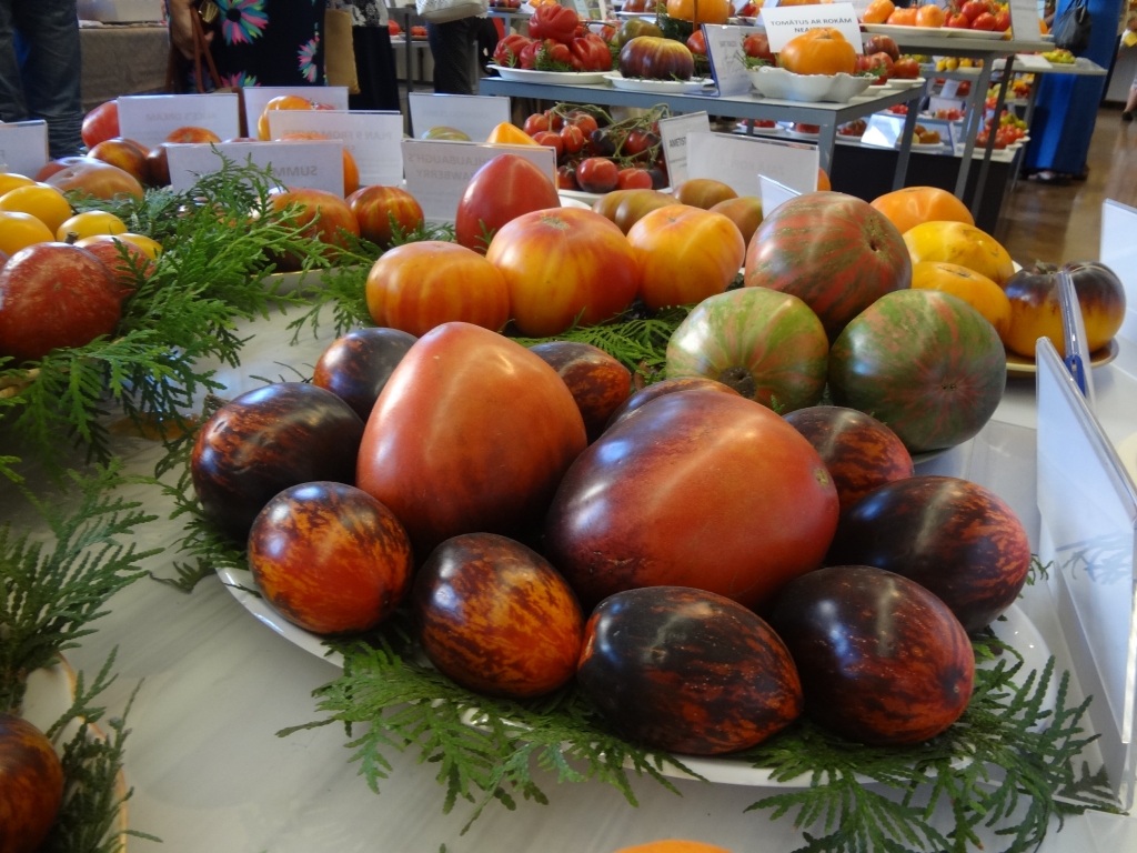 Mānīgs priekšstats. Tās nav Lieldienu olas, bet gan tomāti.