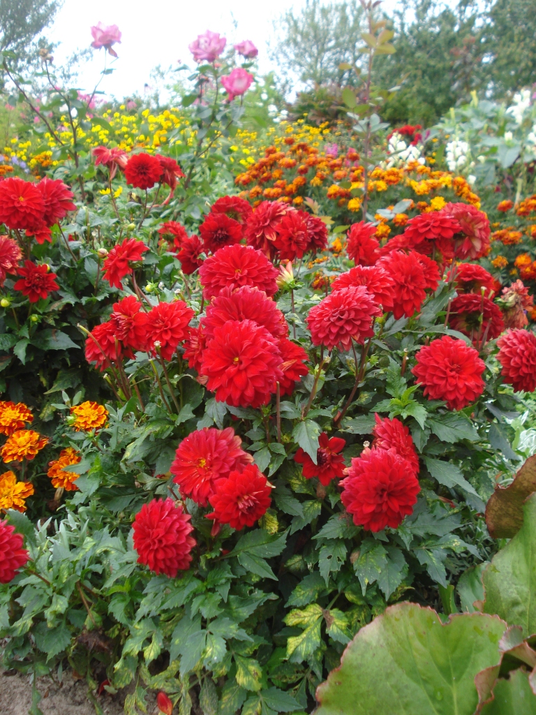 Autors: Silvija Karpoviča