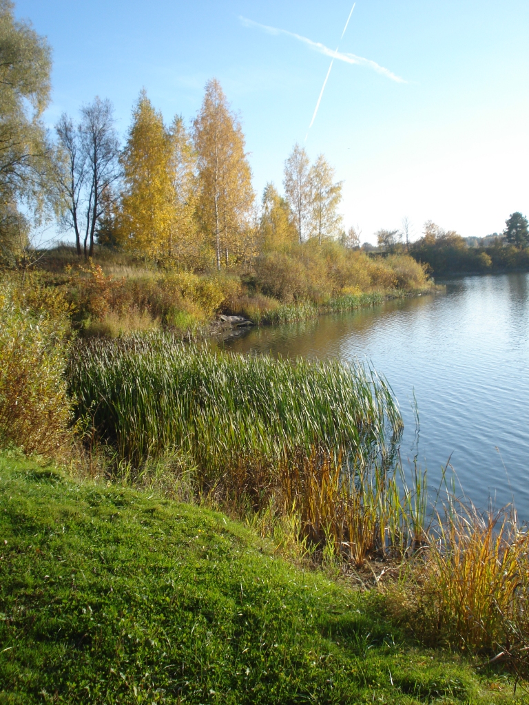 Autors: Silvija Karpoviča