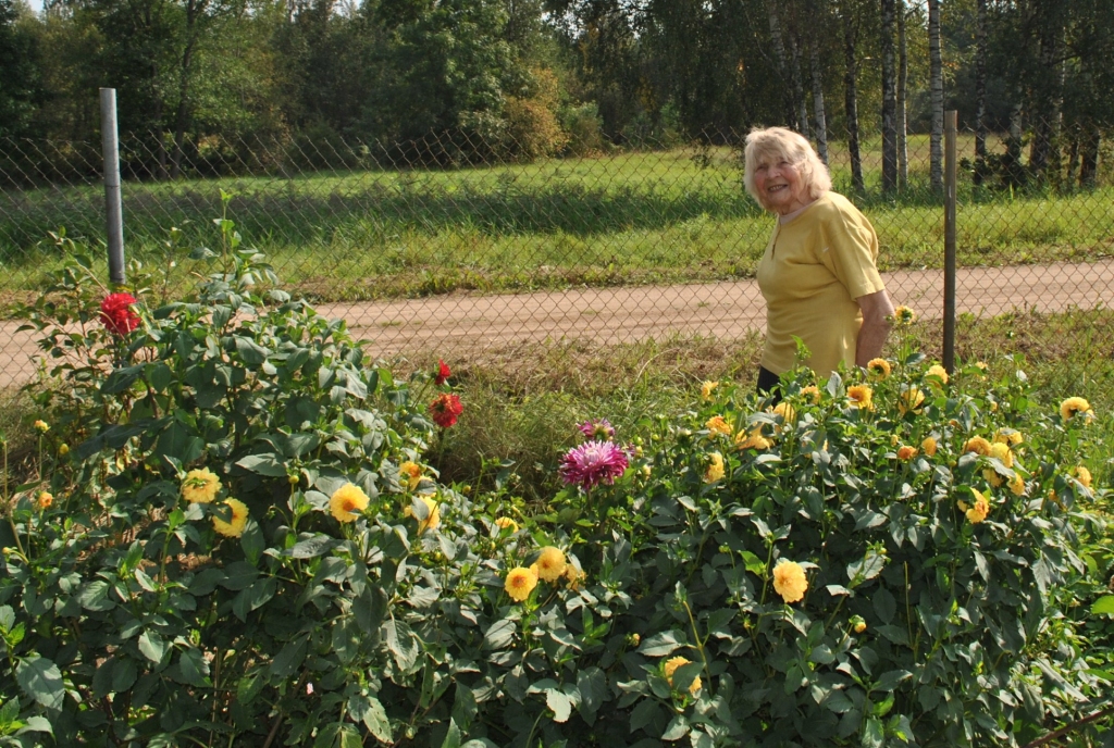PUĶES, PUĶES UN PUĶES grezno jubilāres māju no agra pavasara līdz vēlam rudenim.