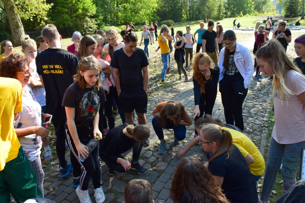Aluksniesiem.lv raksta attēla aizvietotājs