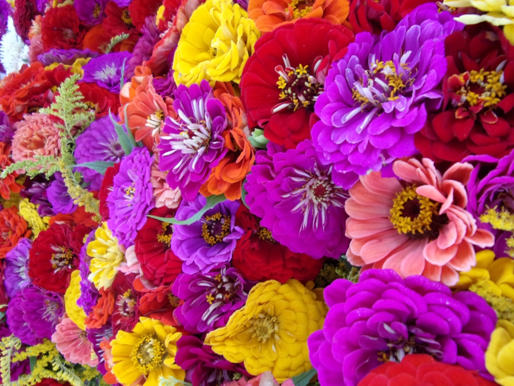 Autors: Inārs Dreijers