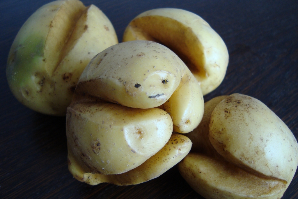 Autors: Uldis Grietiņš