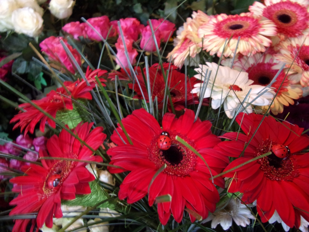 Autors: Inārš Dreijers