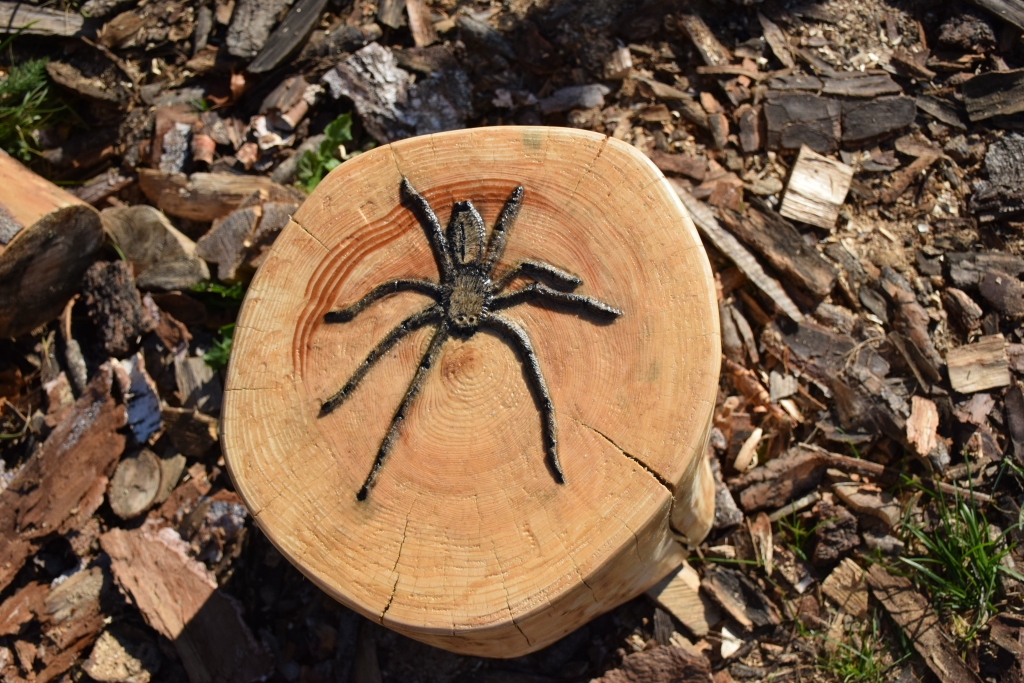 KOKA PĀRVĒRTĪBAS. Normunda darinājumu klāstā ir arī šādas dekoratīvas lietas.
Autors: autores