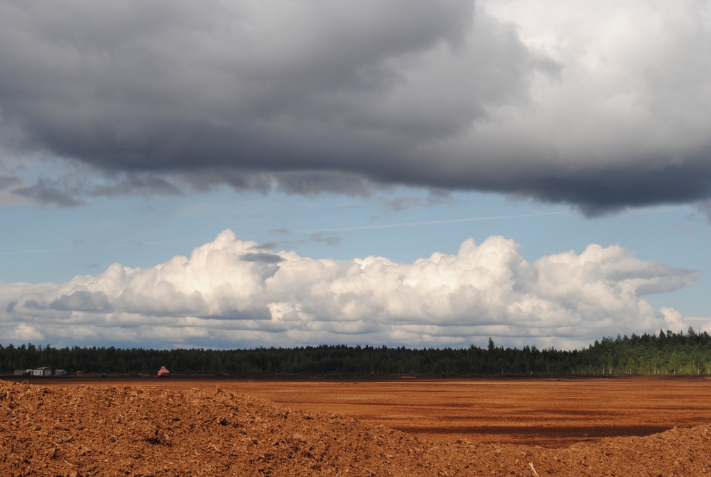 Autors: Līga Patmalniece