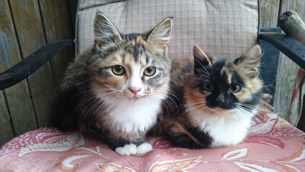 Autors: Žanna Žaka