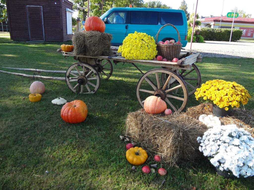 Autors: Ināra Sudare