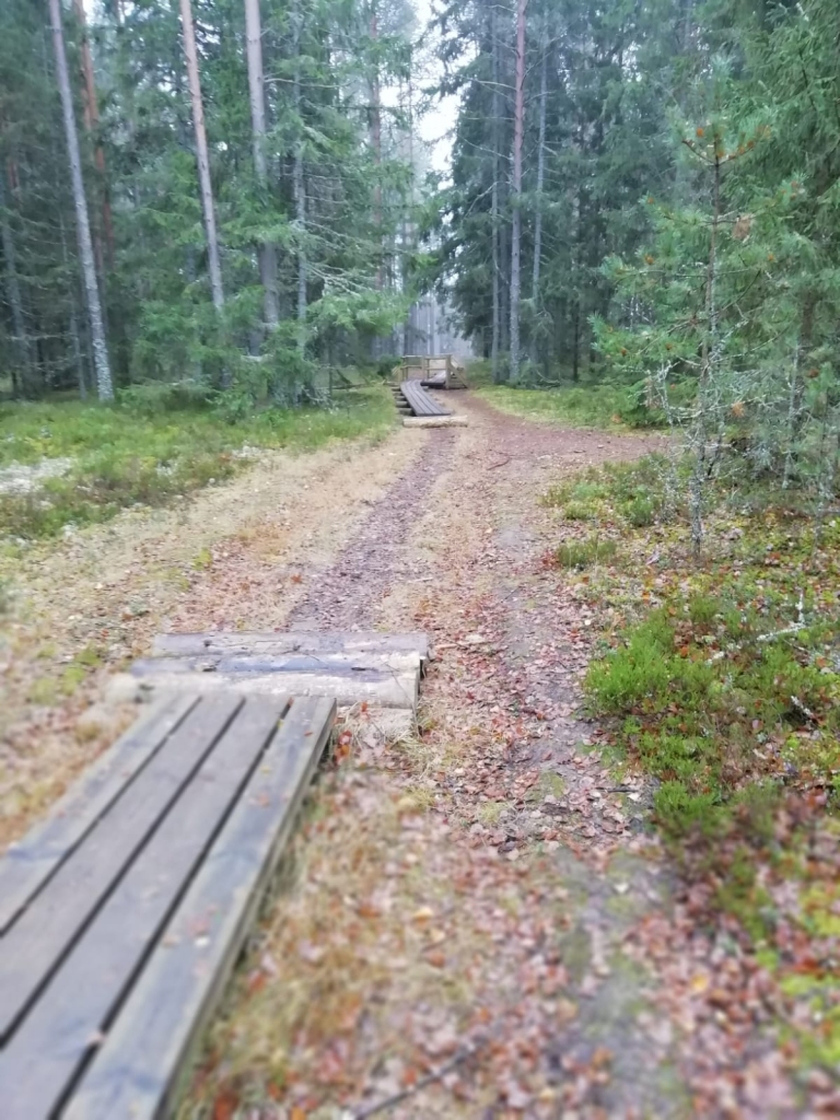 Daļa takas laipu pazududi.
Autors: no Dabas aizsardzības pārvaldes