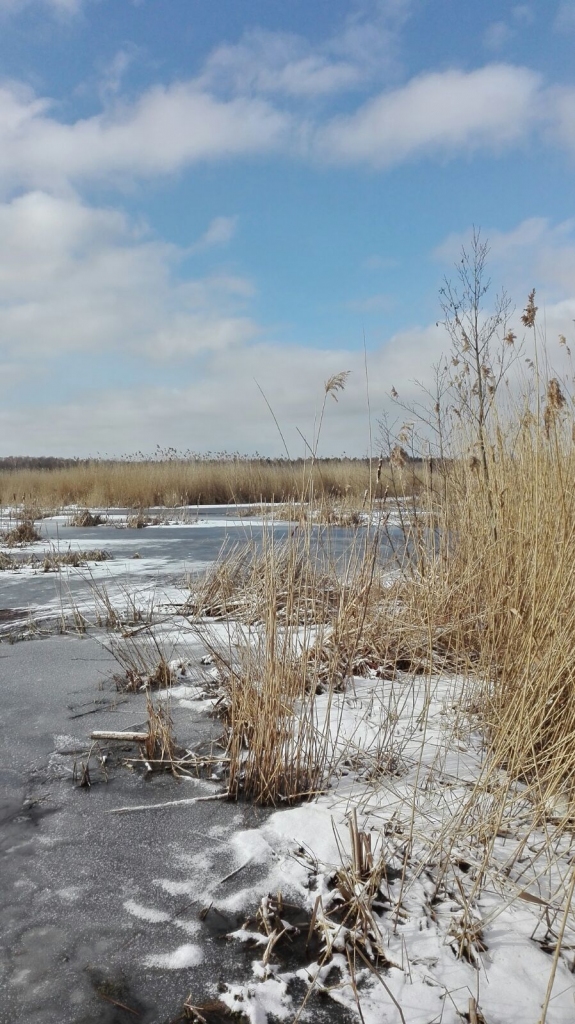 Autors: Ināra Sudare