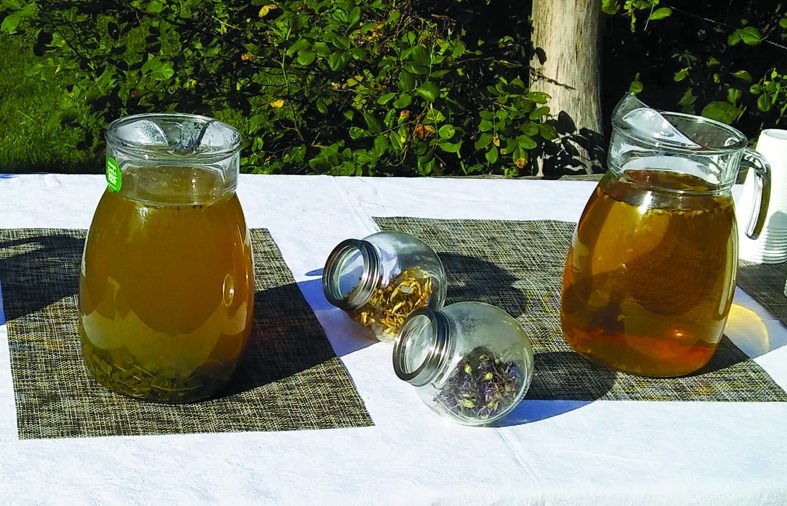 Ārstniecības augu tējas jādzer ilgstoši un mazās devās.