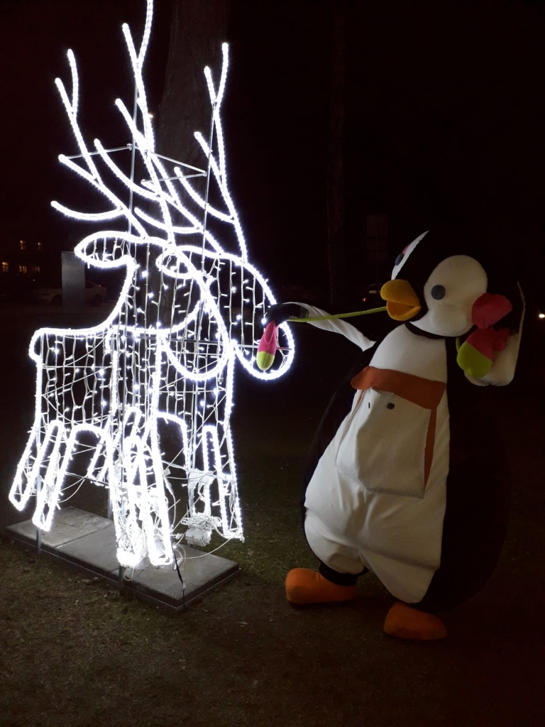 Aluksniesiem.lv raksta attēla aizvietotājs