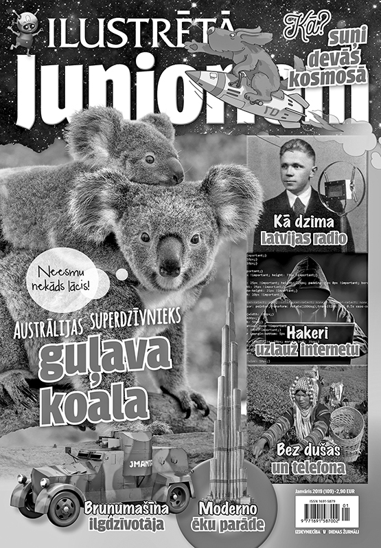 Aluksniesiem.lv raksta attēla aizvietotājs