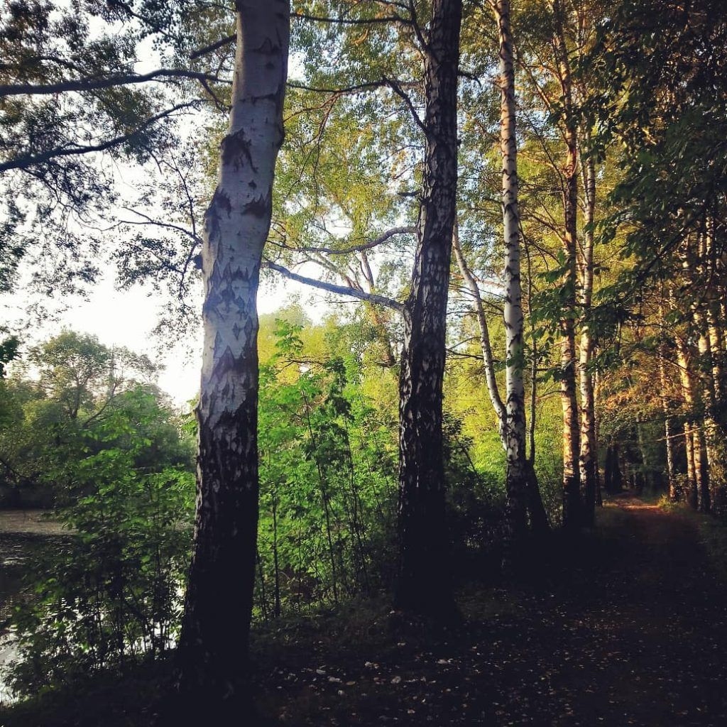 Petropavlovskas parks ir senā rūpnīcas teritorijā. Tas pārsteidza — 
galīgi aizaudzis mežs, kam cauri vijas maza taciņa.
Foto no ceļotāju albuma