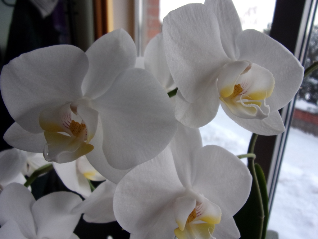 Autors: Inārs Dreijers