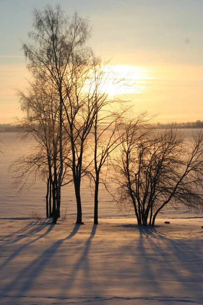 Autors: Līga Patmalniece