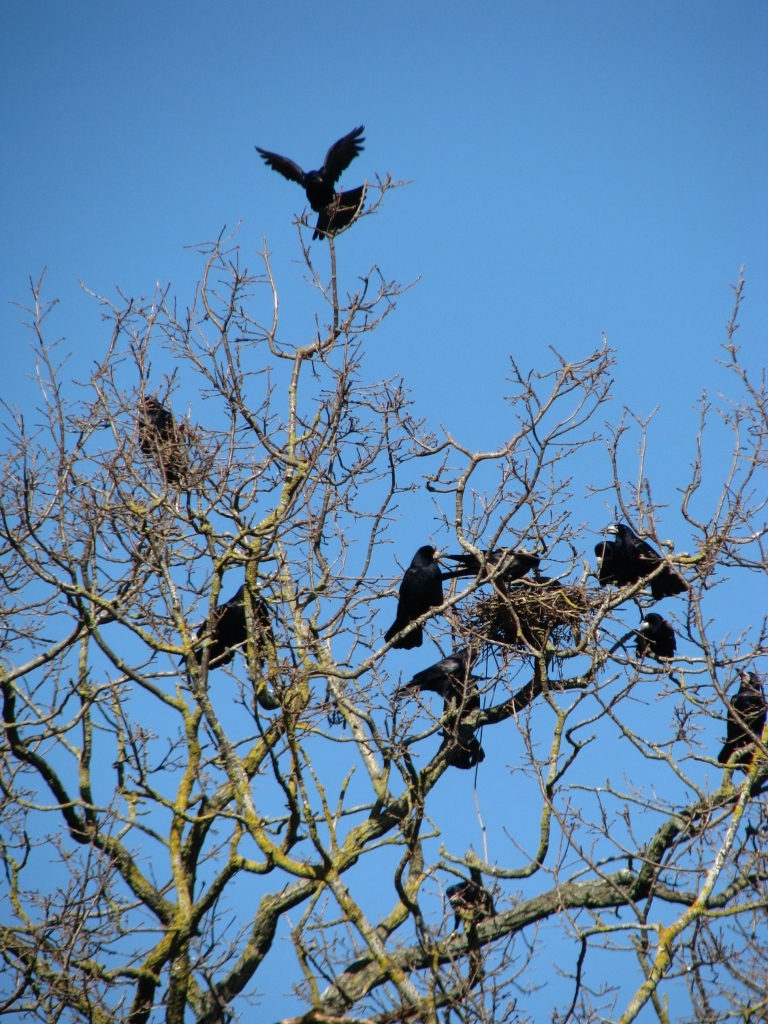 Autors: Solveiga Ivanova