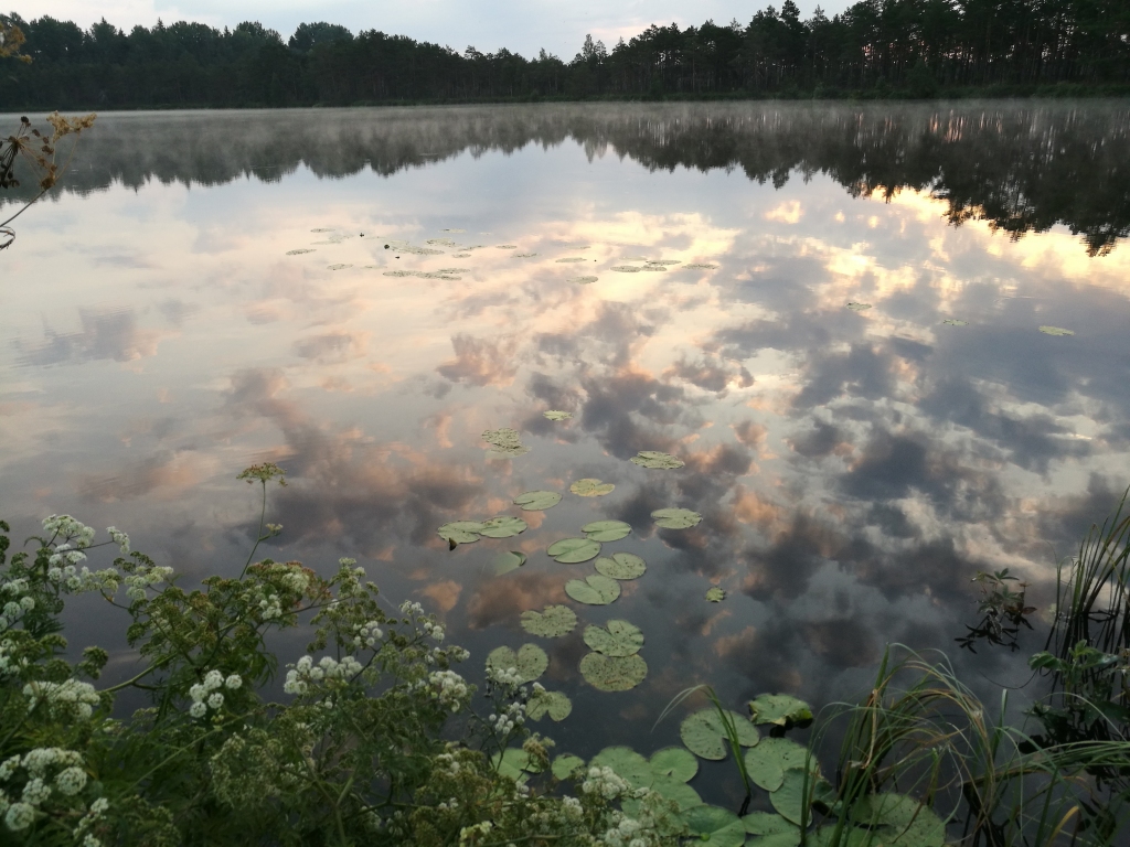 VASARAS ATMIŅAS.
Autors: Anita Šmite