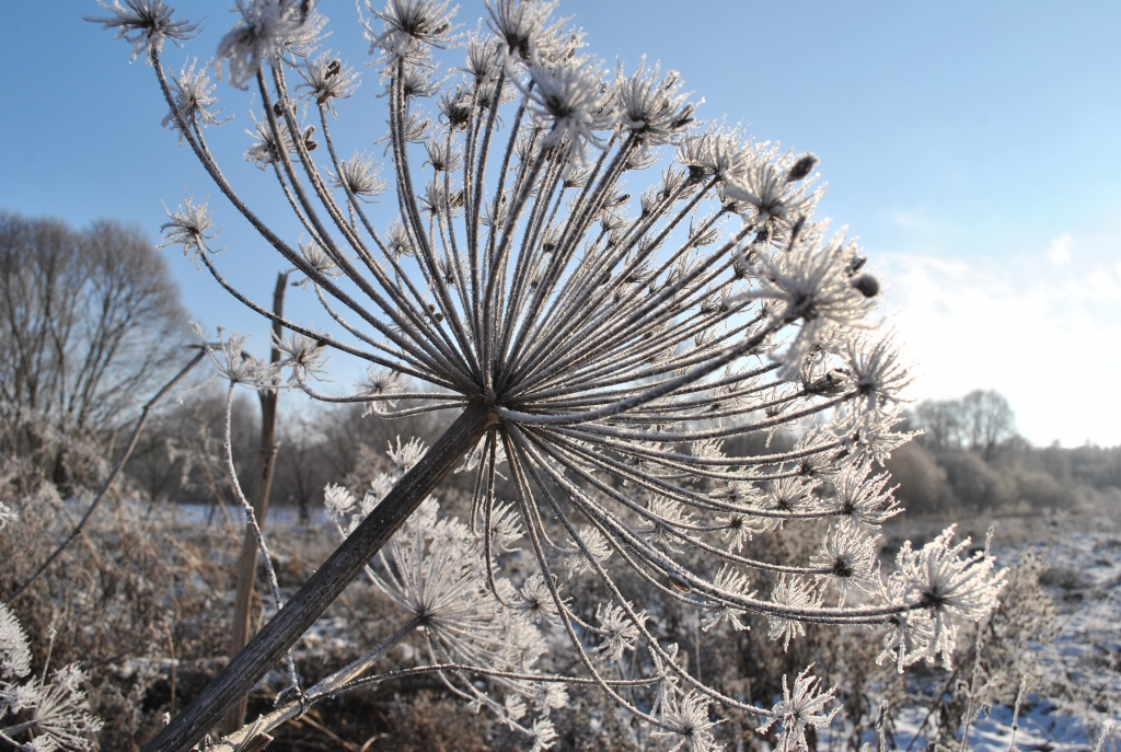 Autors: Līga Patmalniece