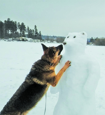 Autors: Ināra Sudare