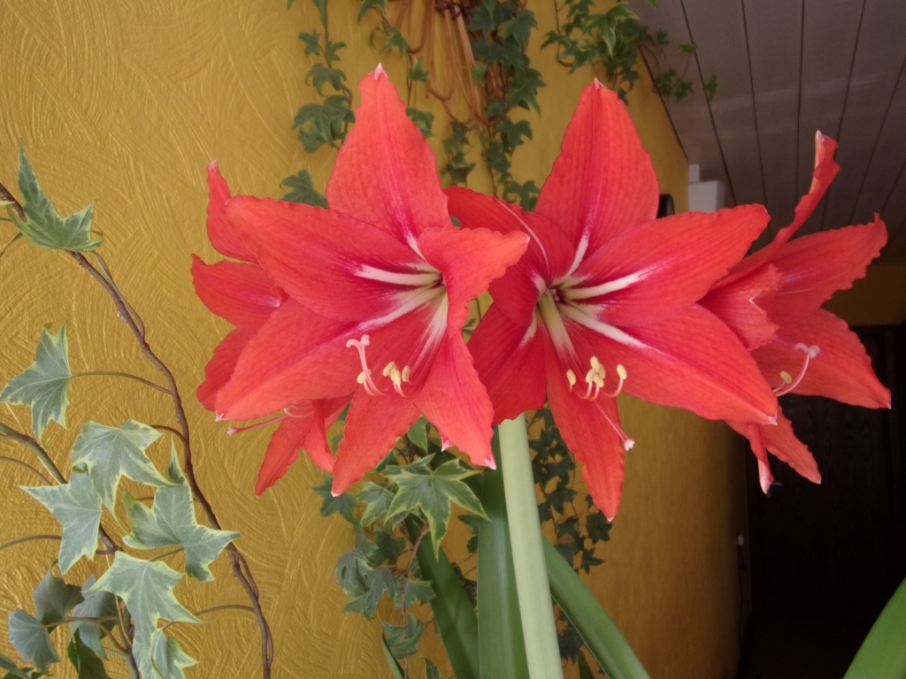 Autors: Inārs Dreijers