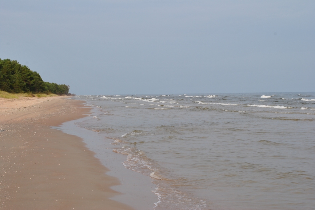 Autors: Līga Patmalniece