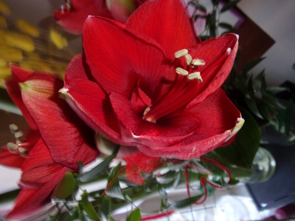 Autors: Inārs Dreijers