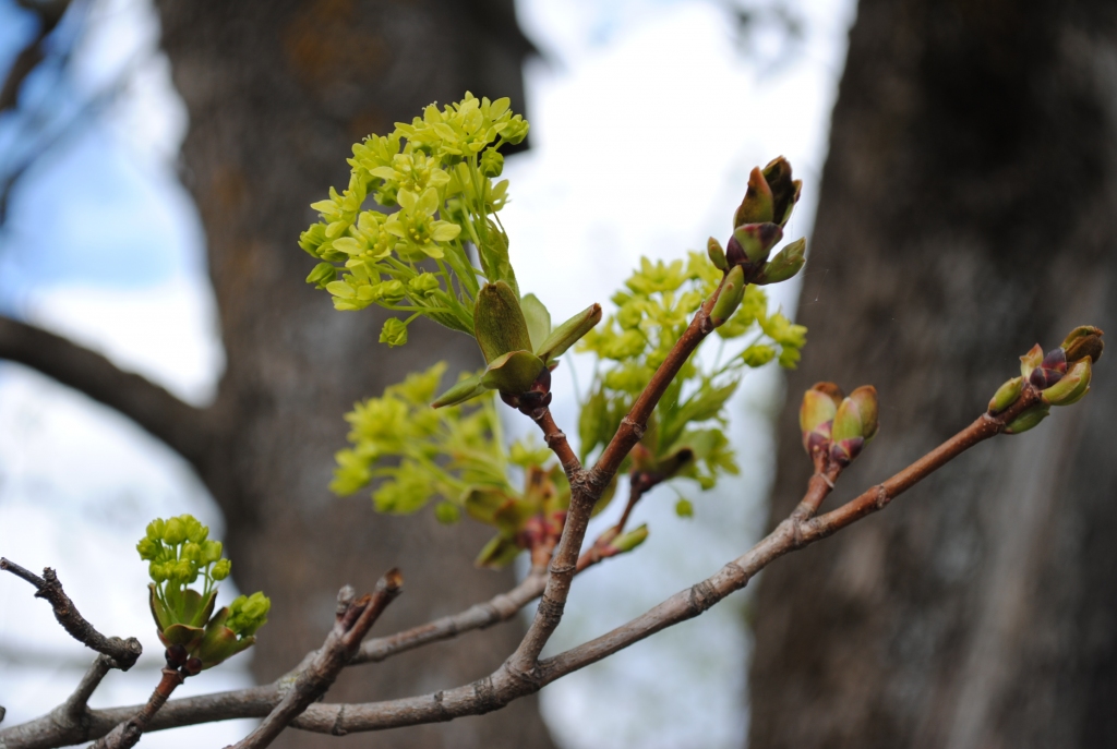 Autors: Līga Patmalniece