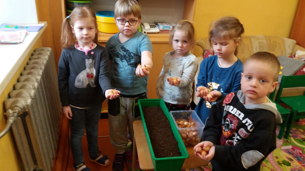 BŪS VITAMĪNI. Pirmsskolas grupiņas ķipari pavasarī mācījās iestādīt sīksīpoliņus, lai vitamīni aug uz palodzes!
Autors: Daiga Andersone