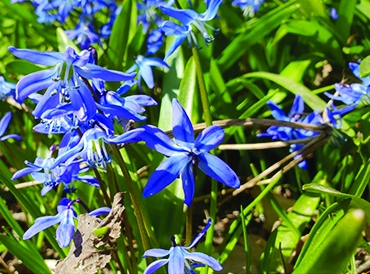 Autors: Silvija Karpoviča