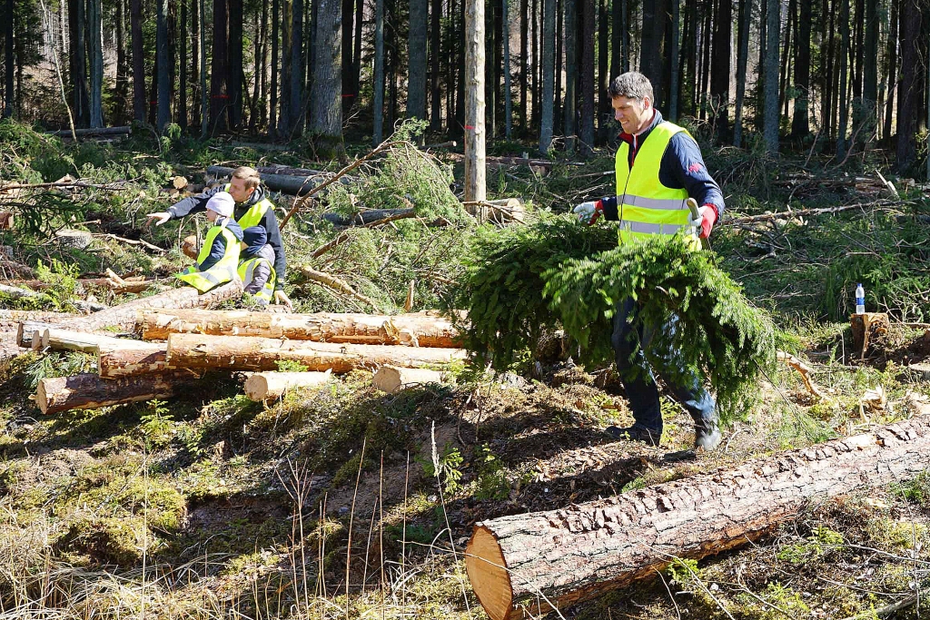 Top kārtējās zivju ligzdas. Kopš projekta sākuma deviņu gadu laikā sagatavotas un Daugavā ievietotas gandrīz 3000 zivju mākslīgās nārsta ligzdas.
Autors: no “Latvenergo”