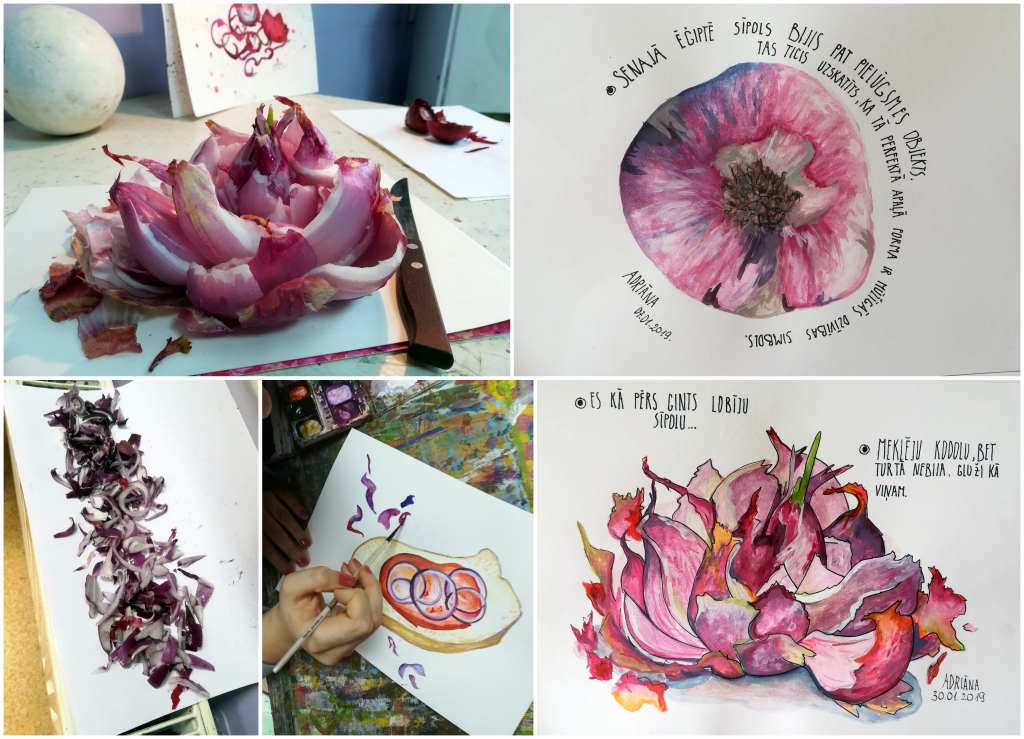 Adriānas pētniecības objekts pirmajā kārtā bija sarkanais sīpols.