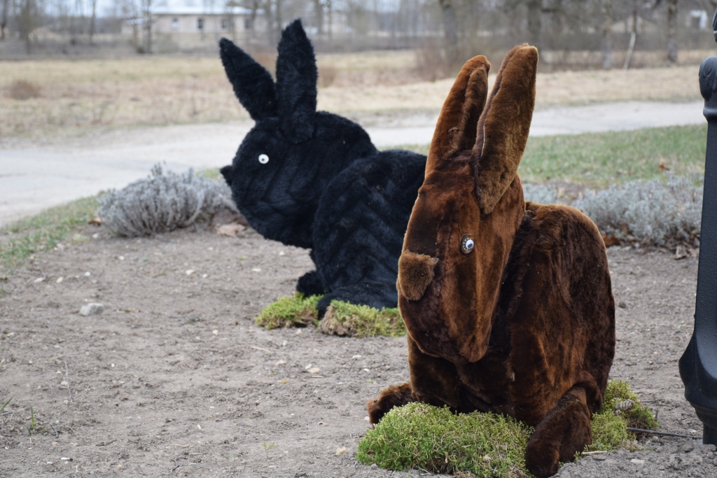 Zaķi, kas pagājušajā gadā gatavoti no koka ripām, šogad ieguvuši samtainus un mīkstus kažociņus.