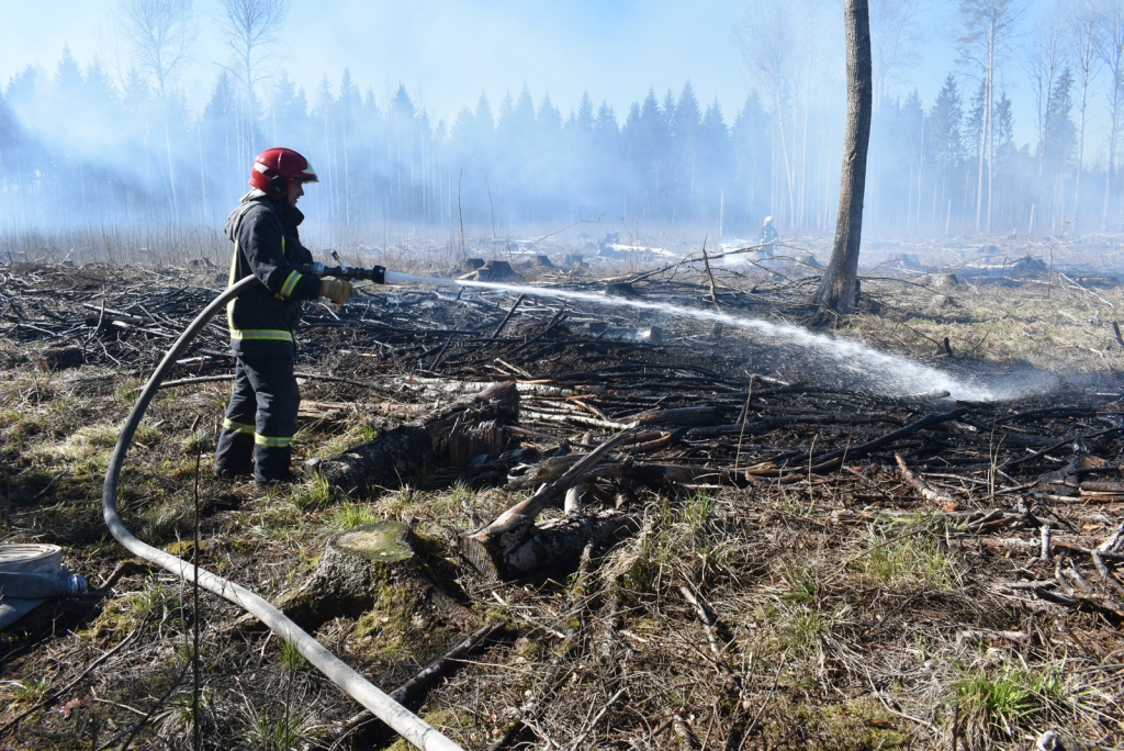 Deg meža zemsedze Kokneses pagastā. Ugunsnelaimi likvidēja VUGD Pļaviņu un Aizkraukles brigādes.
